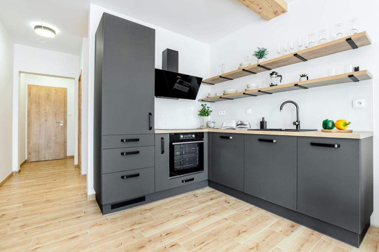 Apartmany Karlovy Dvory Horní Planá Εξωτερικό φωτογραφία